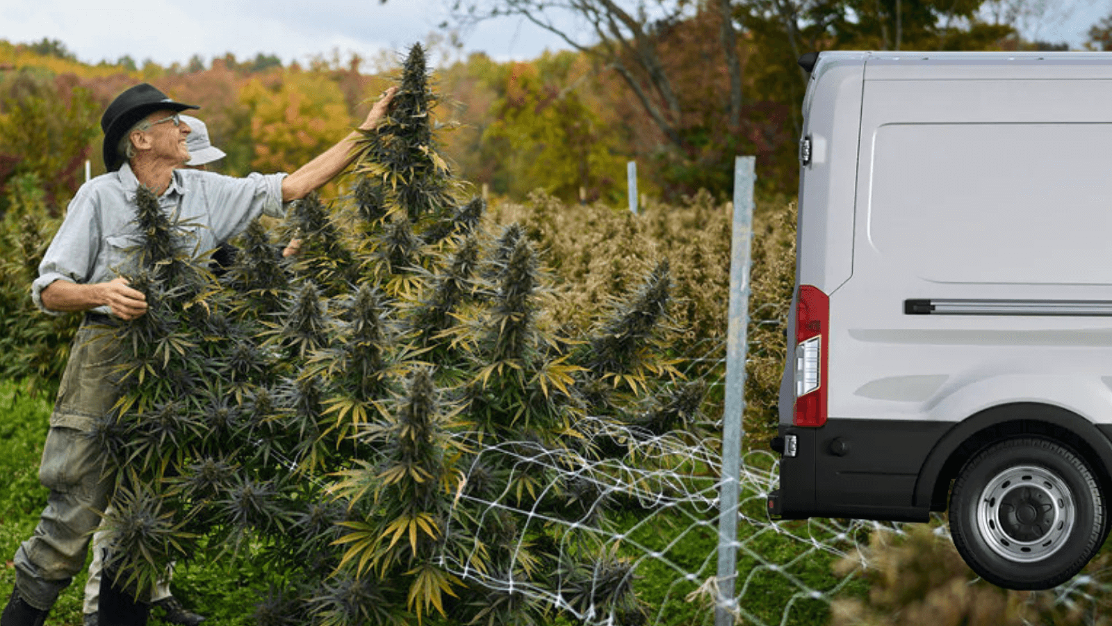 Services for Growers